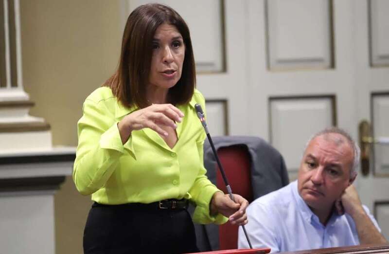 Carmen Hernández, ante el Pleno del Parlamento de Canarias / TA